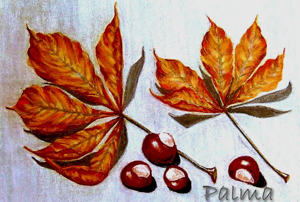 Pasztell, 40cm x 50cm