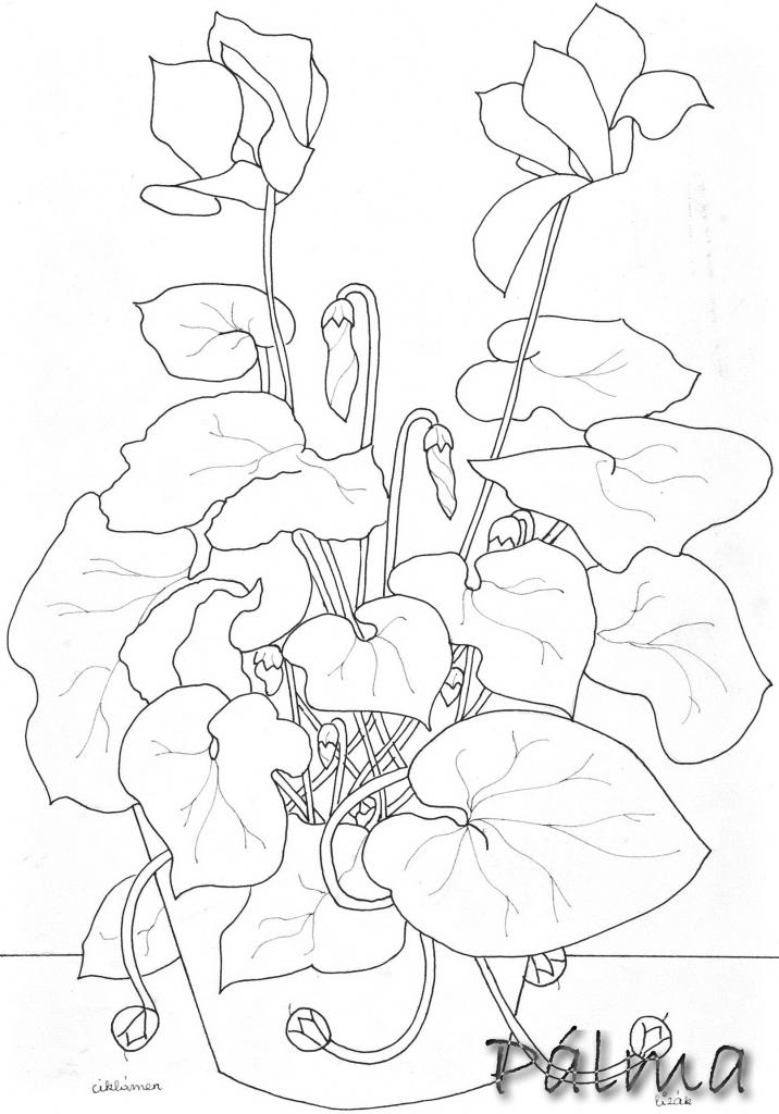 Tus, akvarell papír, 30cm x 20cm